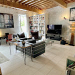 Salon suite Insulae avec tv, canapé cuir, bibliothèque